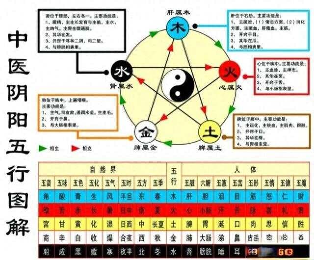 气的升降出入运动如何促进人体的水液代谢？