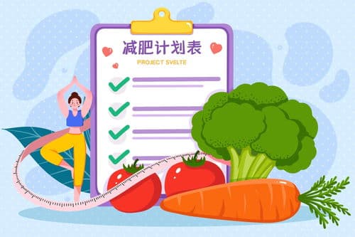 小猫饮食需求与科学喂养技巧