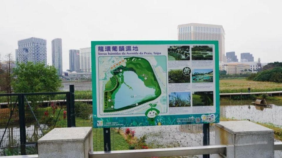 漫步龙环葡韵：澳门的历史风情画卷