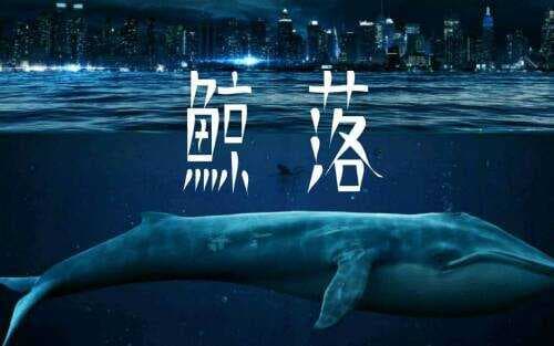 什么是鲸落，为什么说鲸落是最浪漫的死亡？