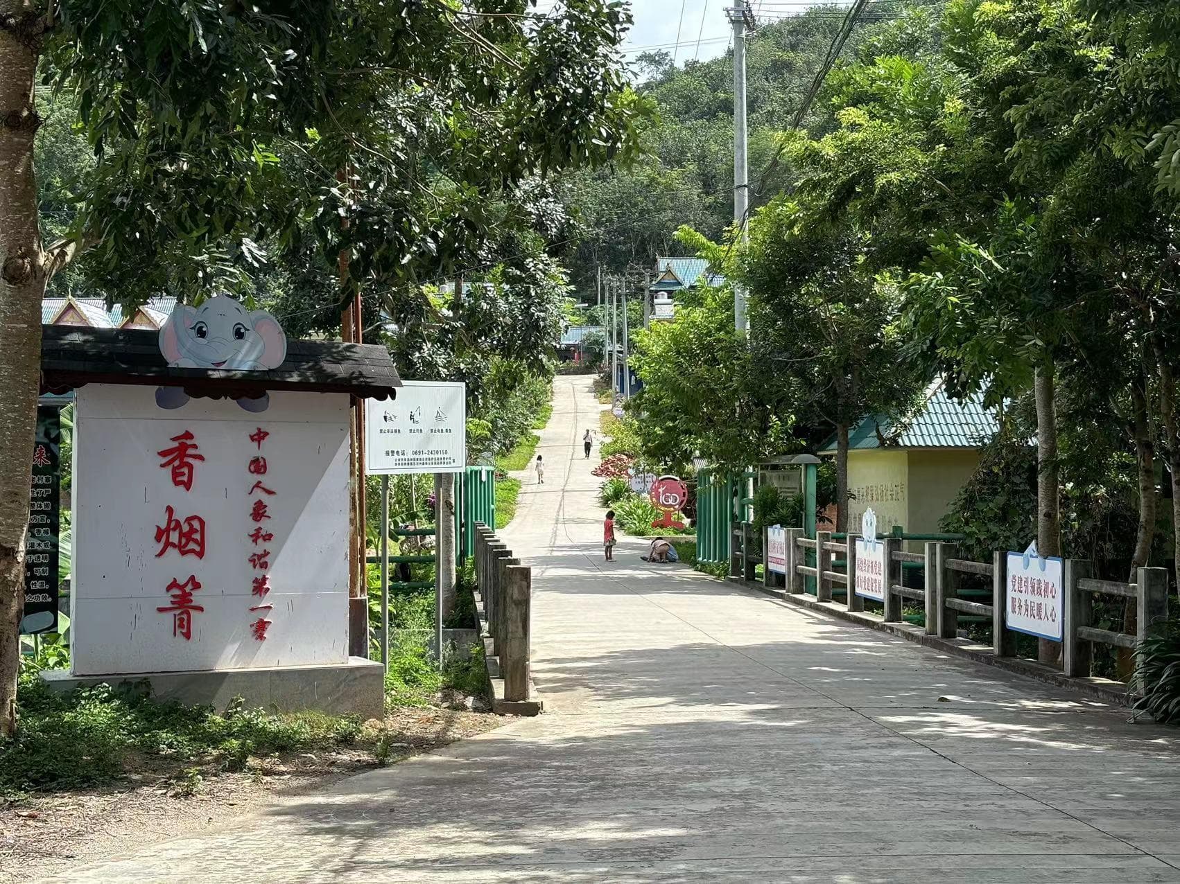 亚洲象南归进村入户，破局“人象冲突”数十年