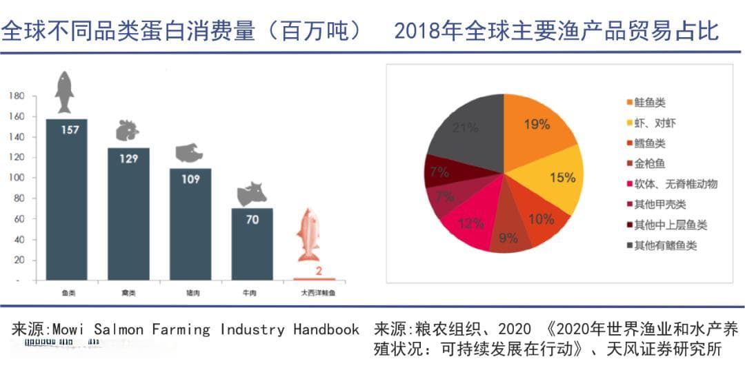 中国爆买全球三文鱼