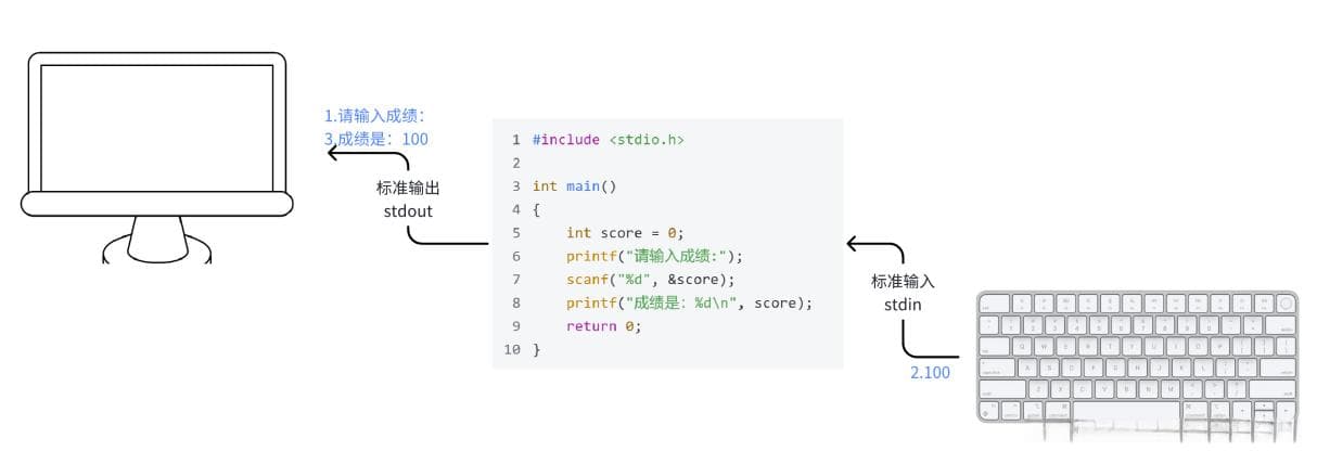 C语言中scanf(输入)和printf(输出)的用法详解