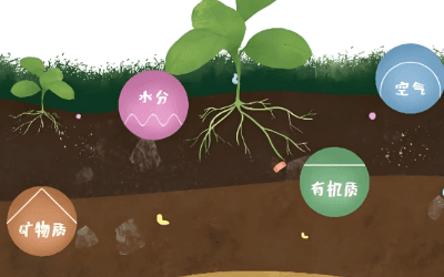 土壤污染监测方案
