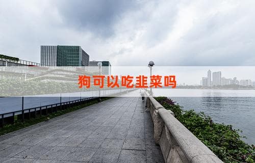 狗可以吃韭菜吗？关于狗狗食用韭菜的探讨