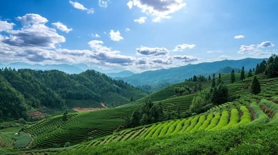 雨水至春山醒！春游去哪里？解锁这些藏在春日里的限定美景