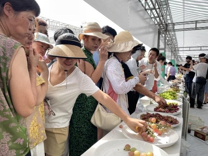 “葡萄大省”浙江，为何不盛产葡萄酒和葡萄干？专家解释了