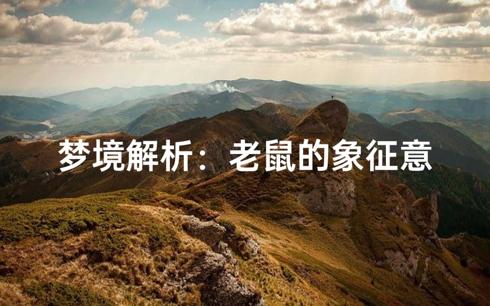 梦境解析：老鼠的象征意义，揭示潜意识的秘密