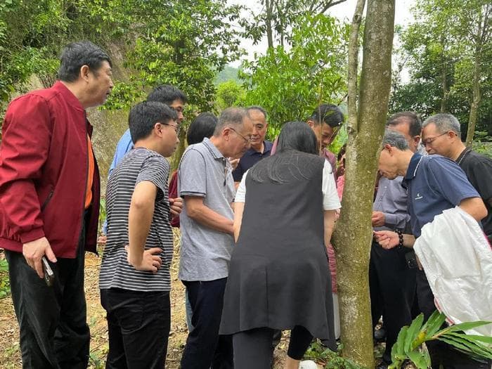 第二十七期“沉香山大讲堂”：伽楠香能否入药典及食品