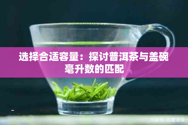选择合适容量：探讨普洱茶与盖碗毫升数的匹配