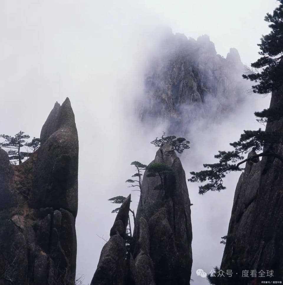 黄山和泰山哪个更高？泰山虽名，黄山更高！揭秘两座山的海拔之谜