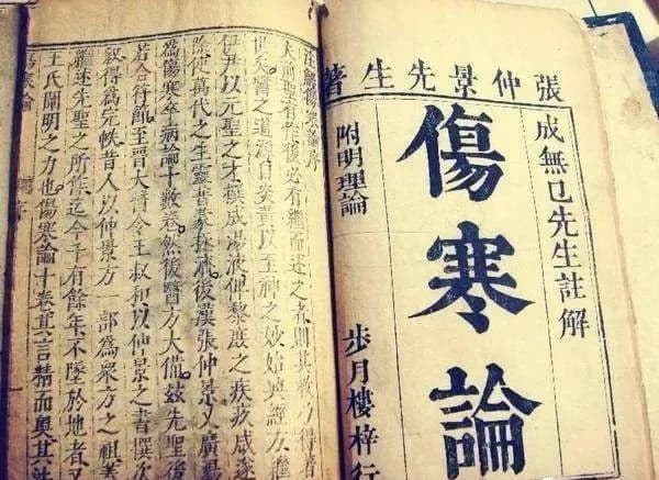 用现代视角透视《伤寒论》的核心原理