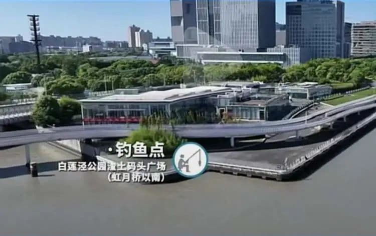 黄浦江边钓鱼“合法”了！苏州河也正酝酿设置专门垂钓点位