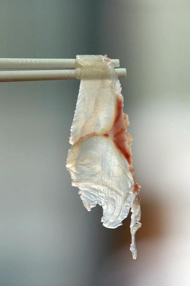 龙胜鱼生：从江边“速食菜”到非遗美食名片