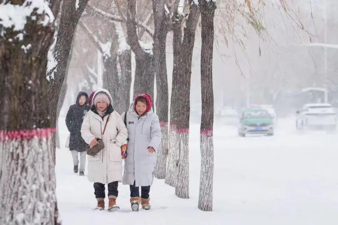 “大雪”的广东，不见雪花只见花