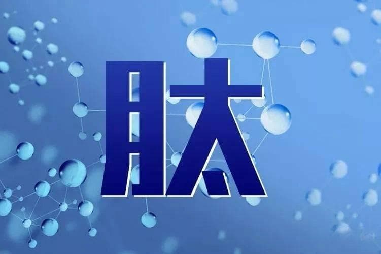 “月” 为阴，“太” 为阳，阴阳平衡就是 “肽”