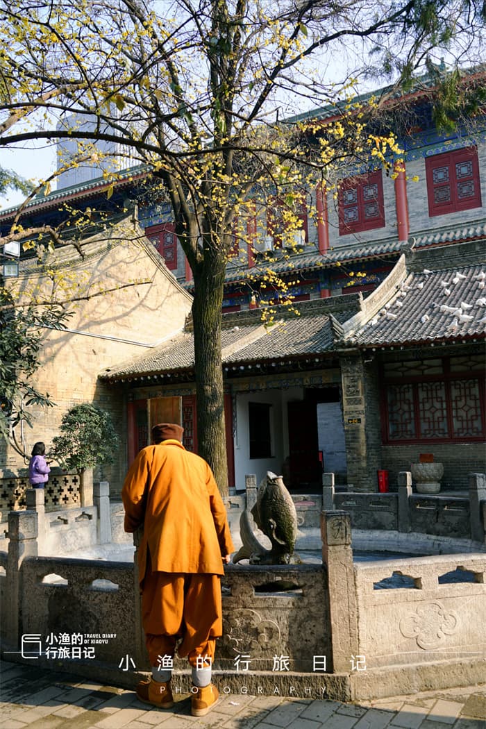 西安三大赏蜡梅胜地：古寺、杜公祠与净业寺