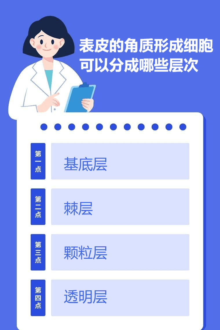 表皮的角质形成细胞可以分成哪些层次
