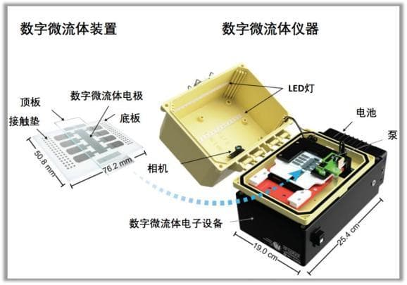 【前沿科普】探寻血型与输血的奥秘