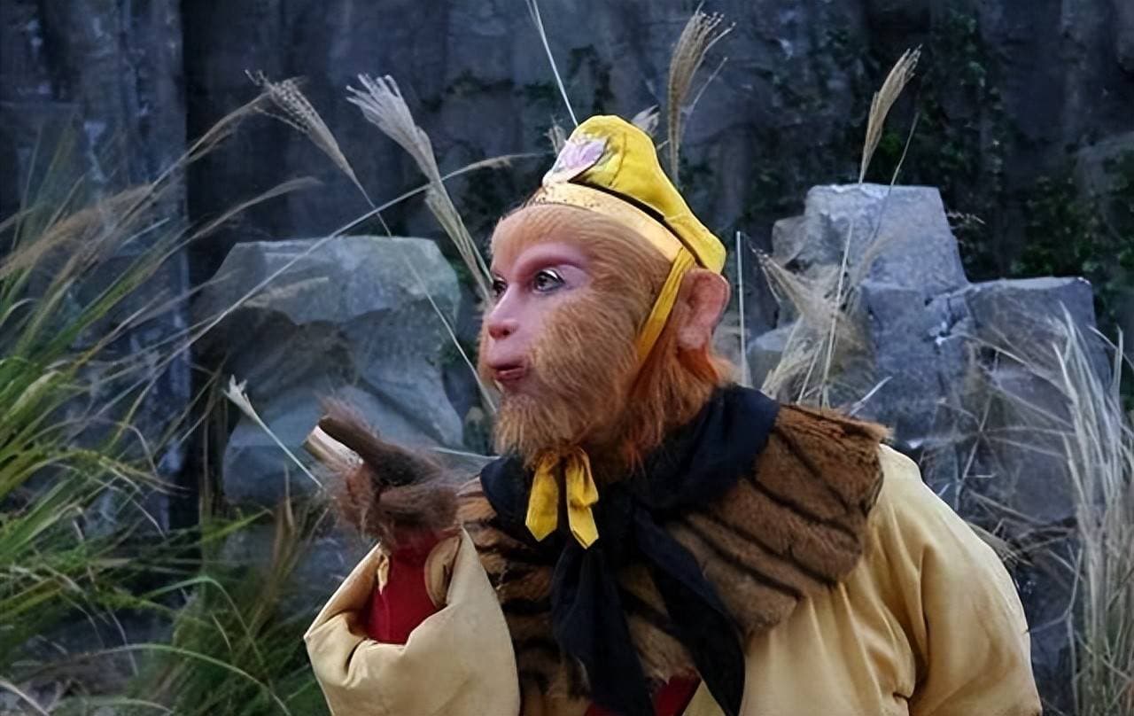 六耳猕猴来源之谜，五个证据表明，六耳猕猴可能是如来安排的