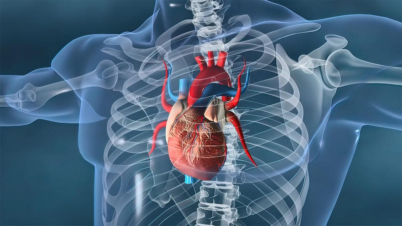 房扑是什么意思