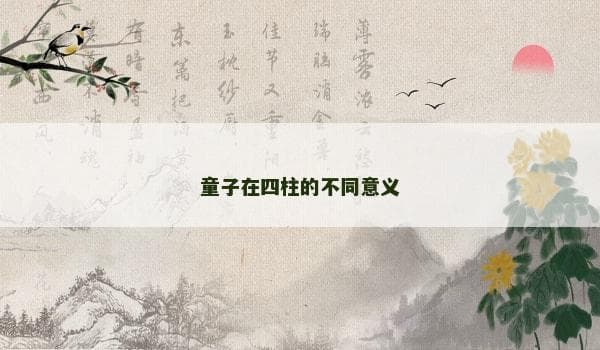 童子在四柱的不同意义