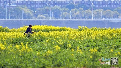 最高气温或突破30℃ 未来几天江西能入春吗？