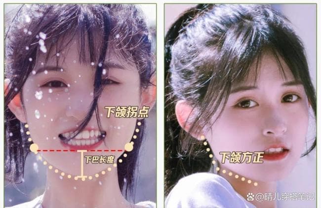方圆脸审美变迁：从土气到高级的转变