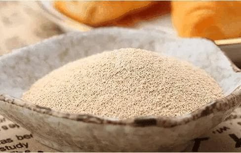 酵母：从古至今的微生物奇迹