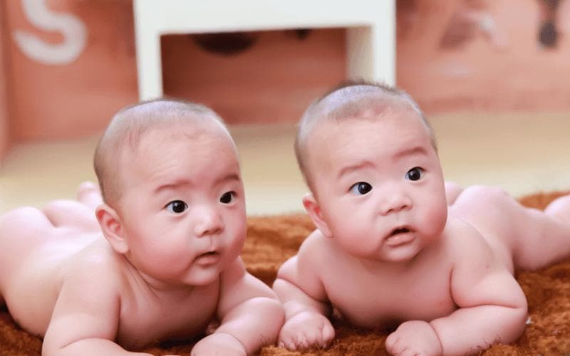 龙凤胎和双胞胎的区别盘点，同卵、异卵为主要不同！