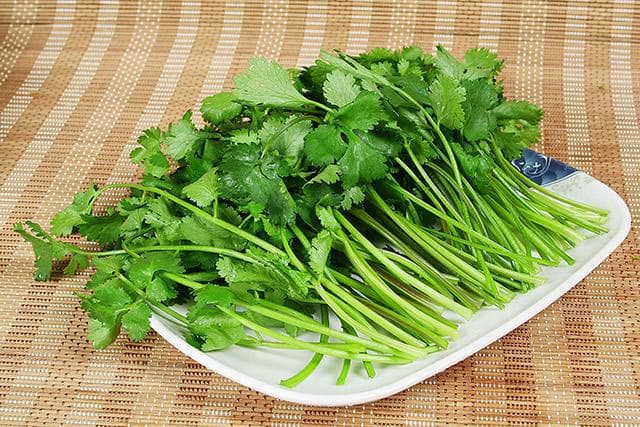 香菜和芫荽是一种菜吗？香菜的功效与食用方法全解析
