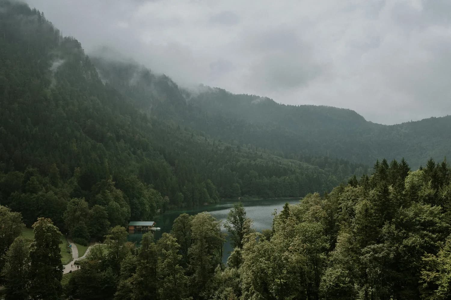 成都彭州中坝保护站：免门票的森系大片取景地！
