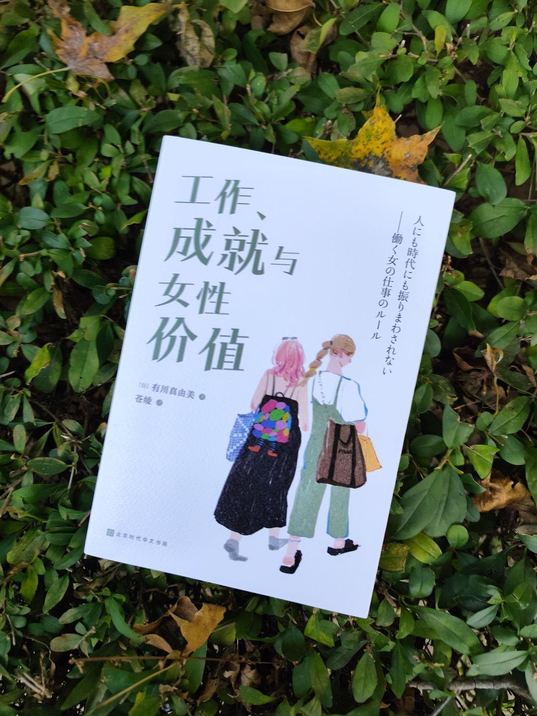 《工作、成就与女性价值》：一本关于女性自我实现的智慧之作