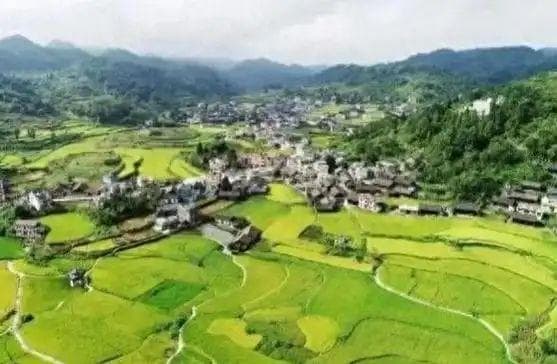回归乡村：为何越来越多年轻人向往农村生活？