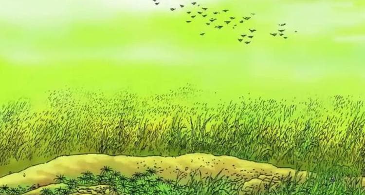 草描写的什么景色？野草也有风景：细阅自然间的草地画卷!