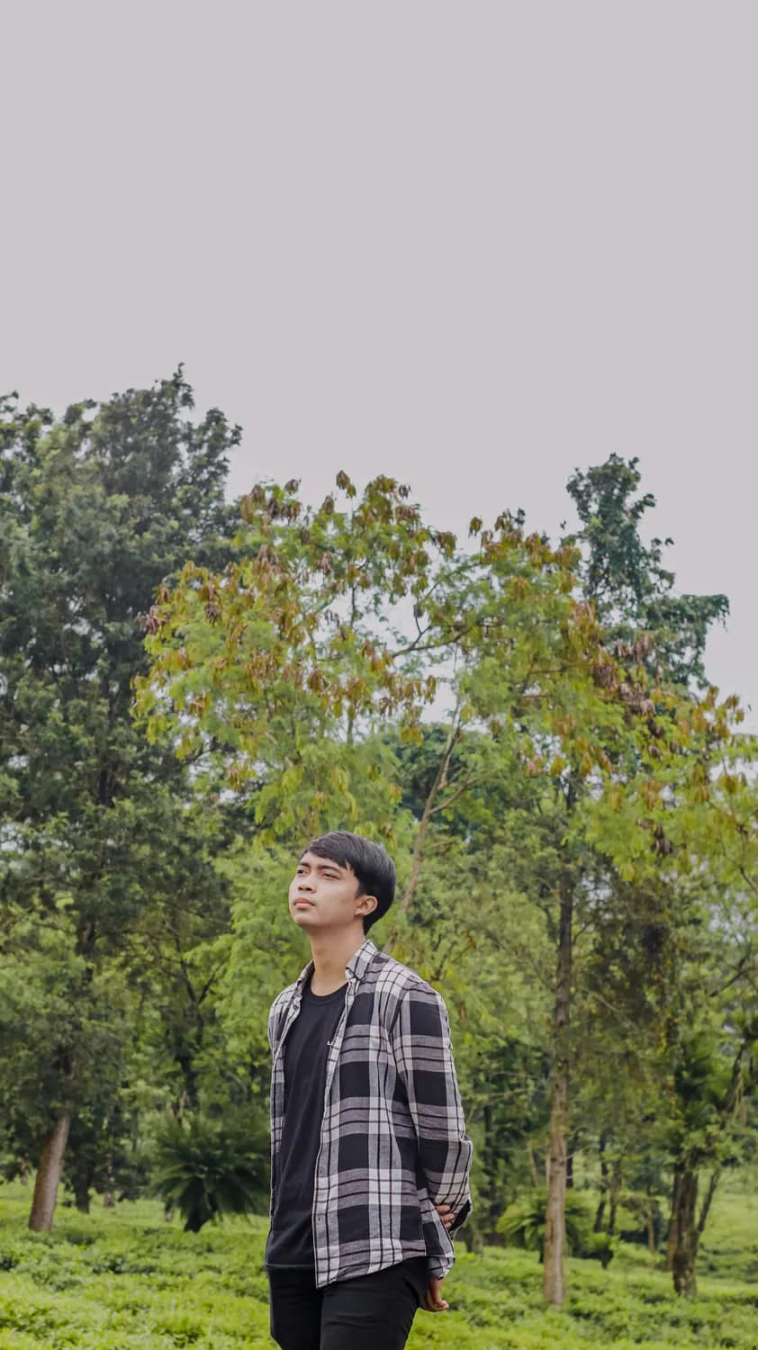 《熊出没之夺宝熊兵》亲子观影指南：音乐篇