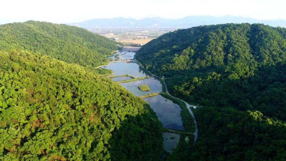 杭州市西湖区铜鉴湖：治水兴生态，共绘湖山锦绣图