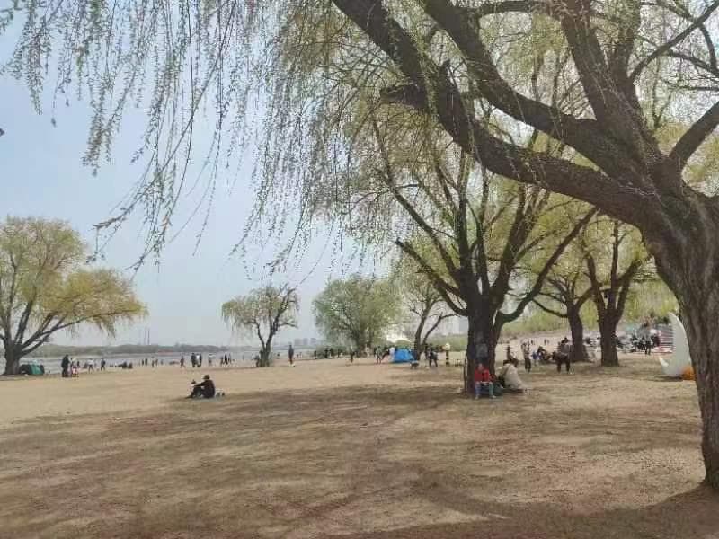 车上的内外循环怎么用？关乎健康关键时候可以保命，不要搞反了清楚吗？