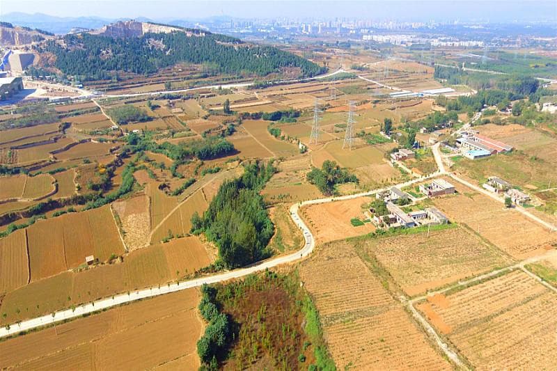 肥城：满载情怀，一条路串起“诗和远方”