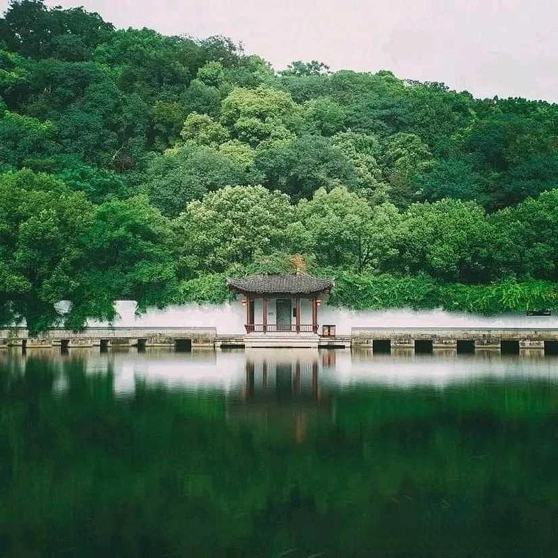 绍兴黄酒：古老水乡的醇厚之魂