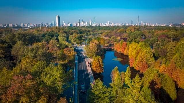 10月、11月、12月南京这7个地方，绽放最美秋色，你去过几个？
