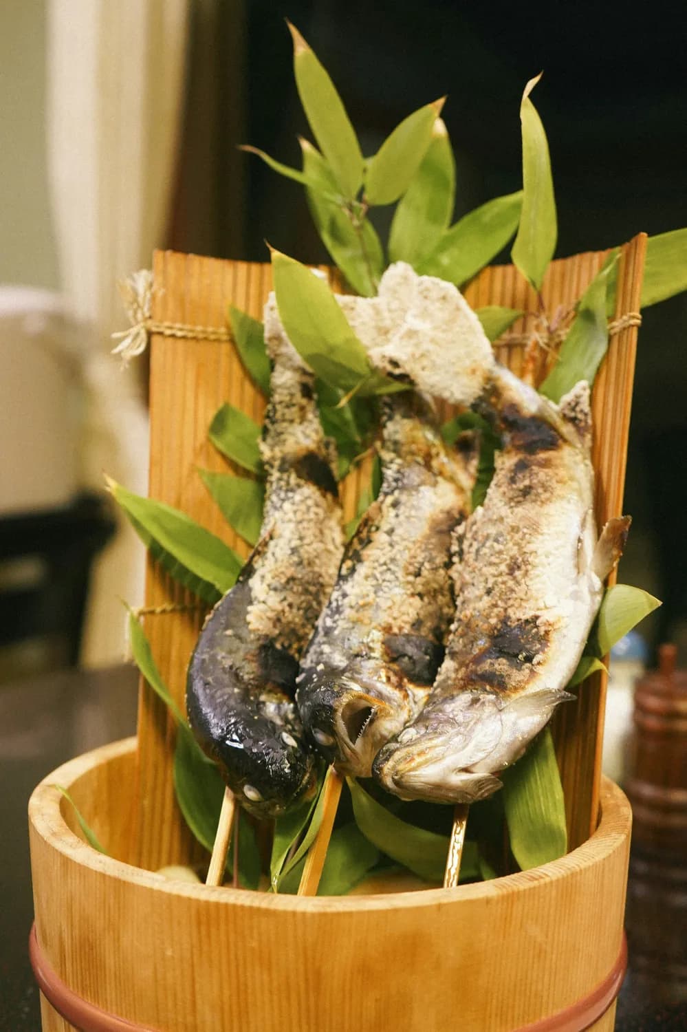 黑回鱼：烤鱼界的“顶流”