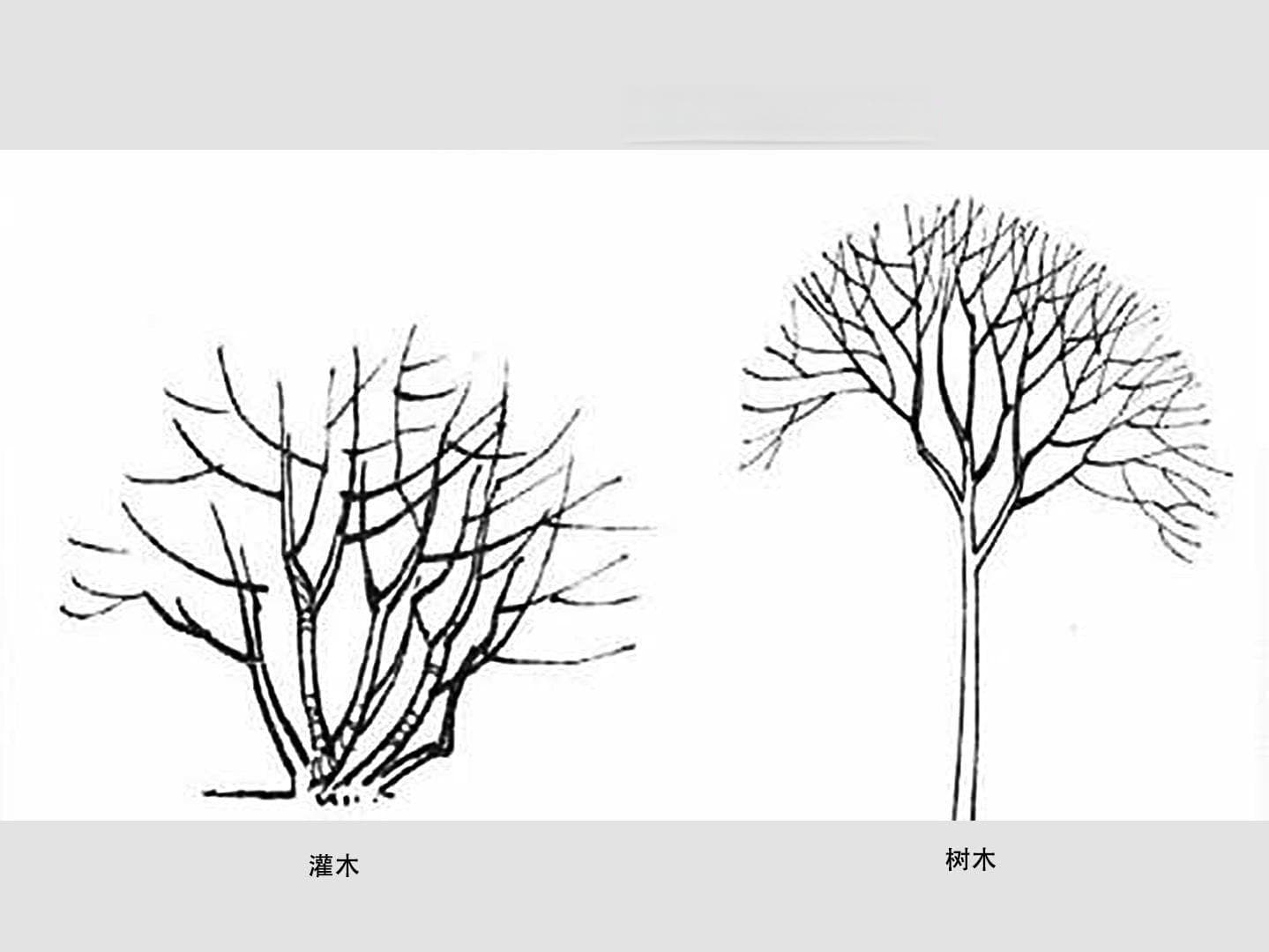 如何理解摄影创作的“形式美”