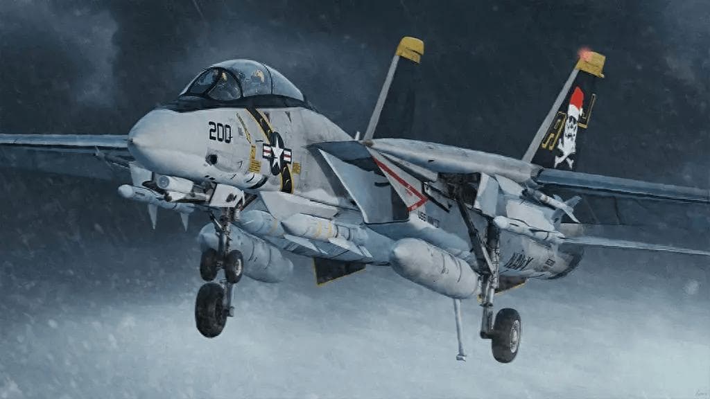 F-14“雄猫”战斗机：美国海军的空中守护神