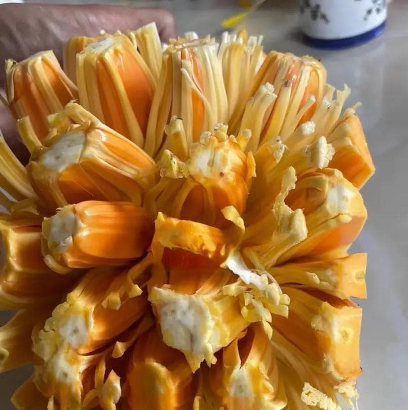 凤梨与菠萝（揭开凤梨与菠萝之间的秘密）