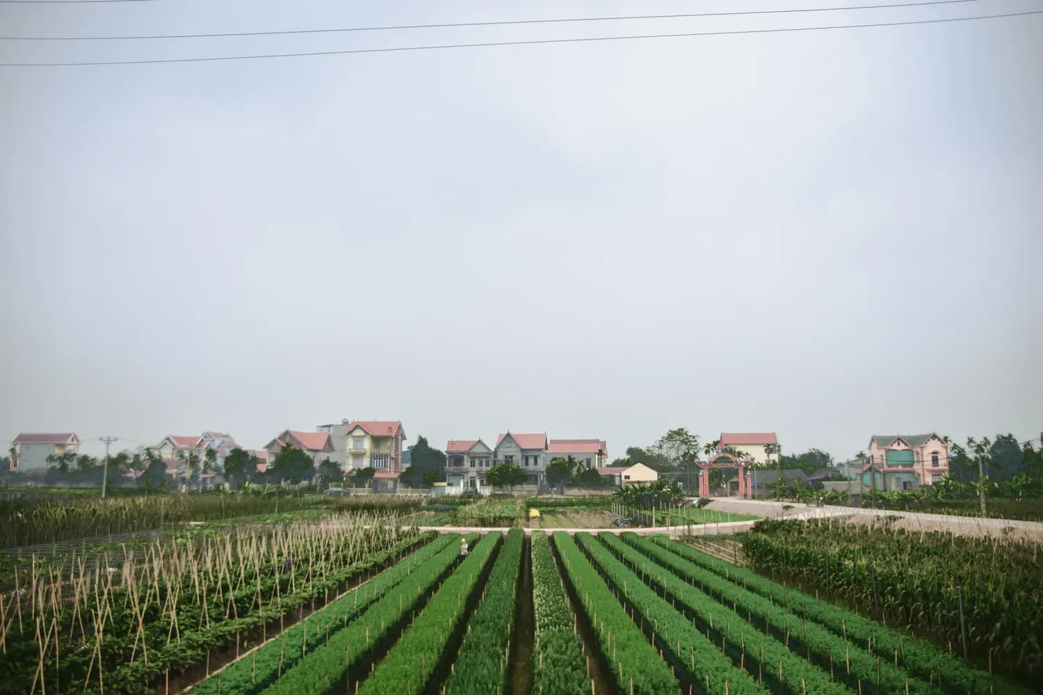 石首市美丽乡村建设：环境整治与产业振兴双轮驱动