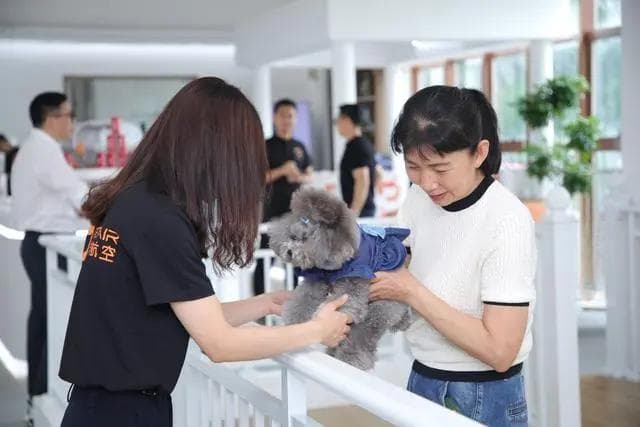 带宠物坐飞机！多家航司推宠物进客舱服务：仅接收家庭驯养的狗、猫