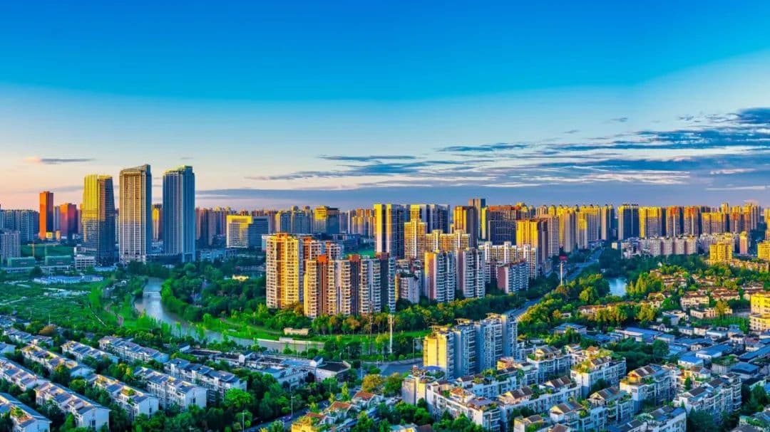 发挥专业优势，履职尽责！外部董事助力温江国企高质量发展