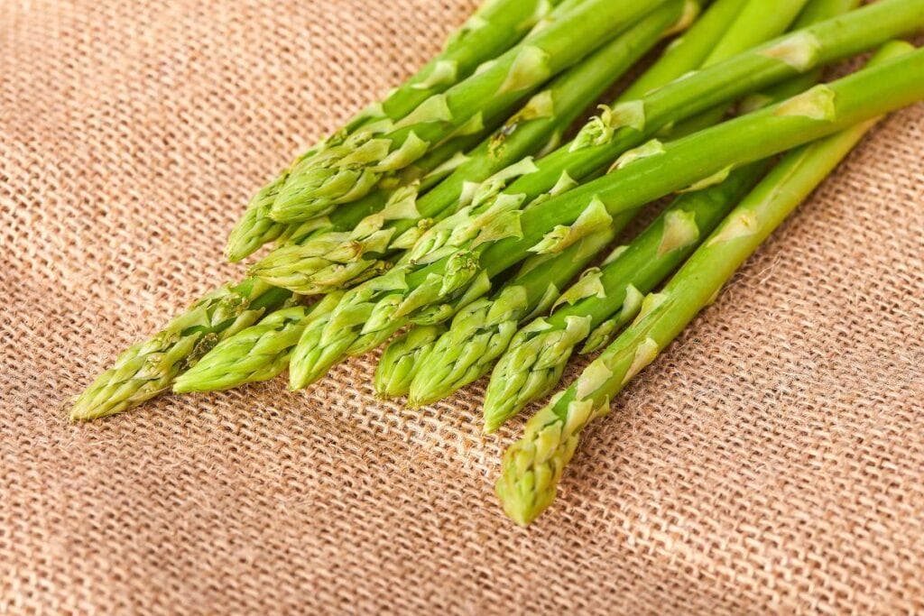 春季蔬菜全攻略：种类、营养价值与烹饪指南