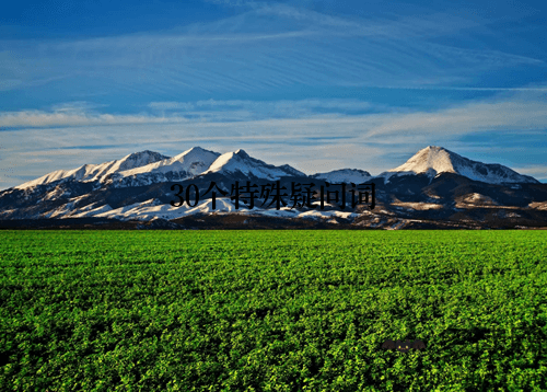 30个特殊疑问词